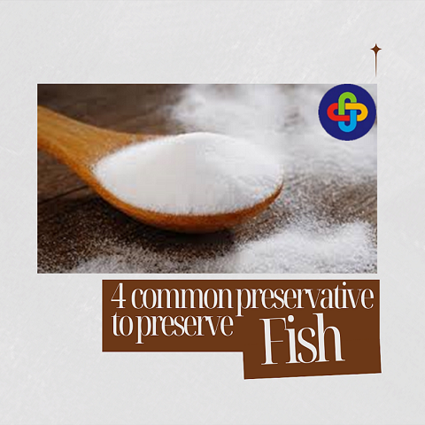 4 Common Preservatives to Preserve Fish